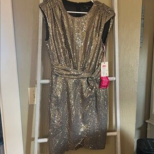Alex Marie Shimmering Silver/Gold Mini Dress
